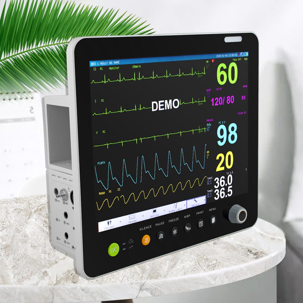 15 Inch Portable Vital Signs Veterinary Patient Monitor for Parameter Clinic Monitor Equipment